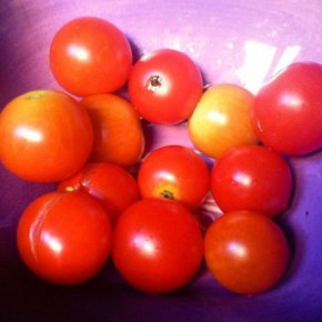 Tomato + Goat Cheese&nbsp;Scramble