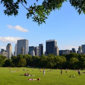 Rookie Chef Round-Up: NYC&nbsp;Parks